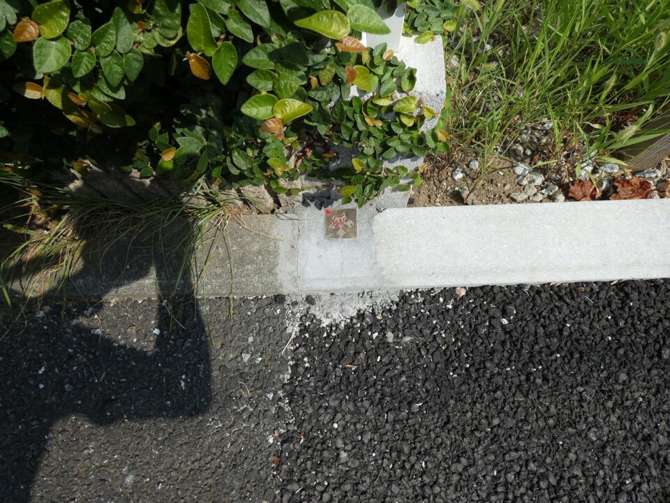 二宮売地,二宮土地