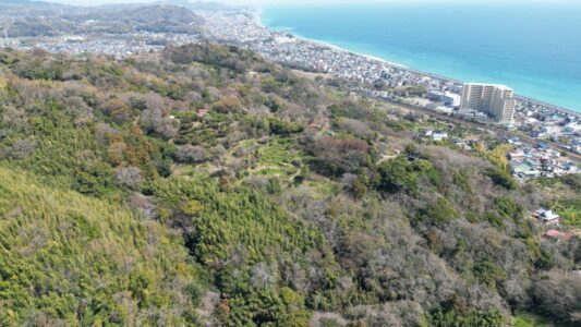 小田原市前川山林 5000㎡超え 480万円 販売中