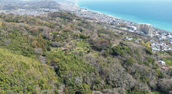 小田原市前川山林 5000㎡超え 480万円　販売中
