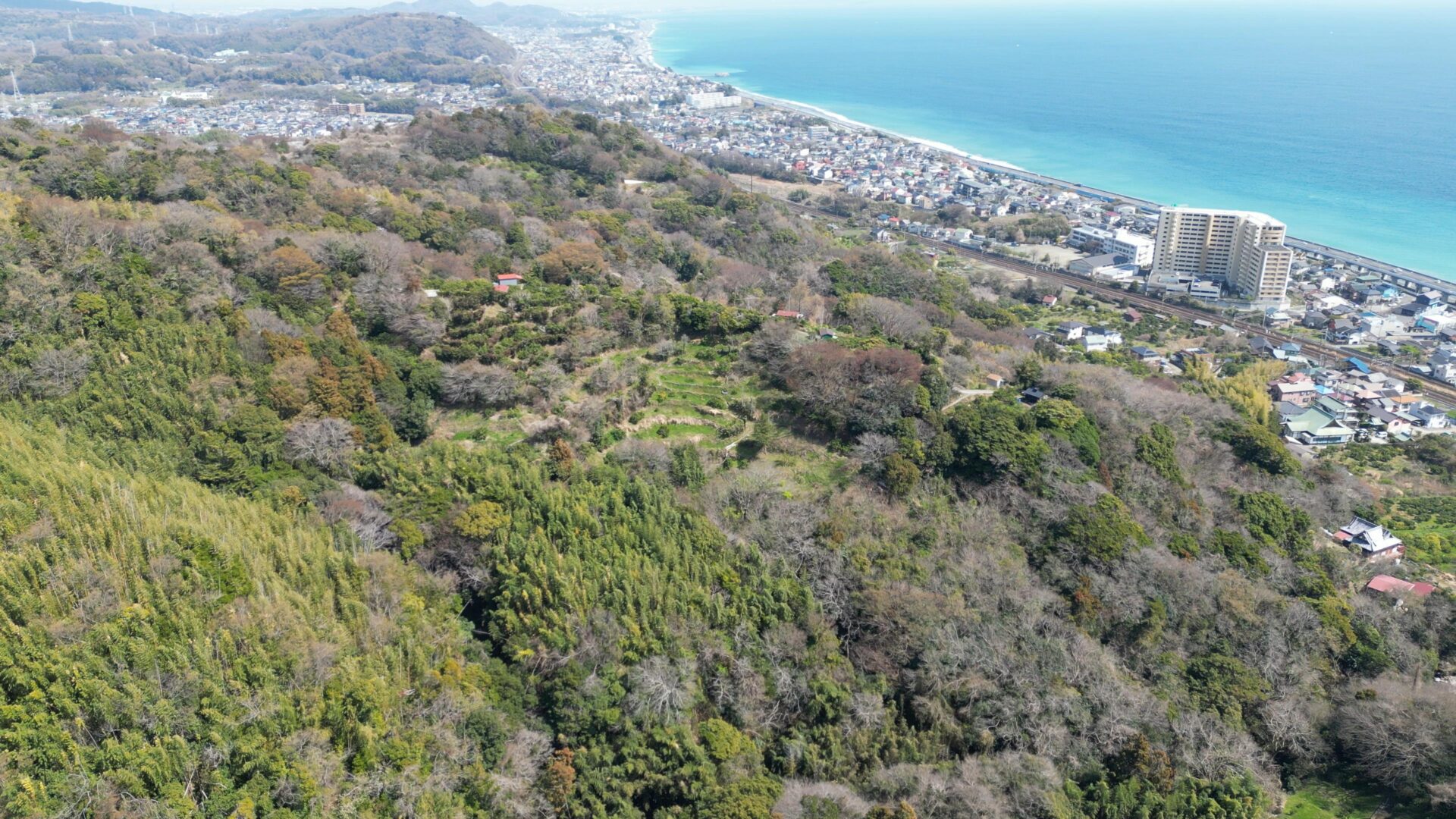 小田原市前川山林 5000㎡超え 430万円　販売中
