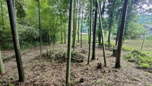 相模原市緑区根小屋 約413坪の売地 840万円