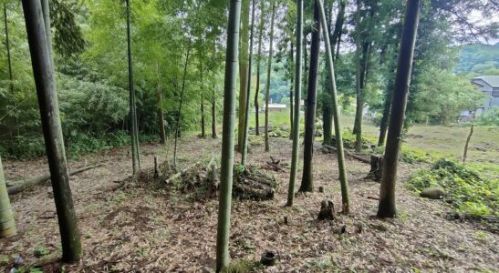 相模原市緑区根小屋 約413坪の売地 840万円