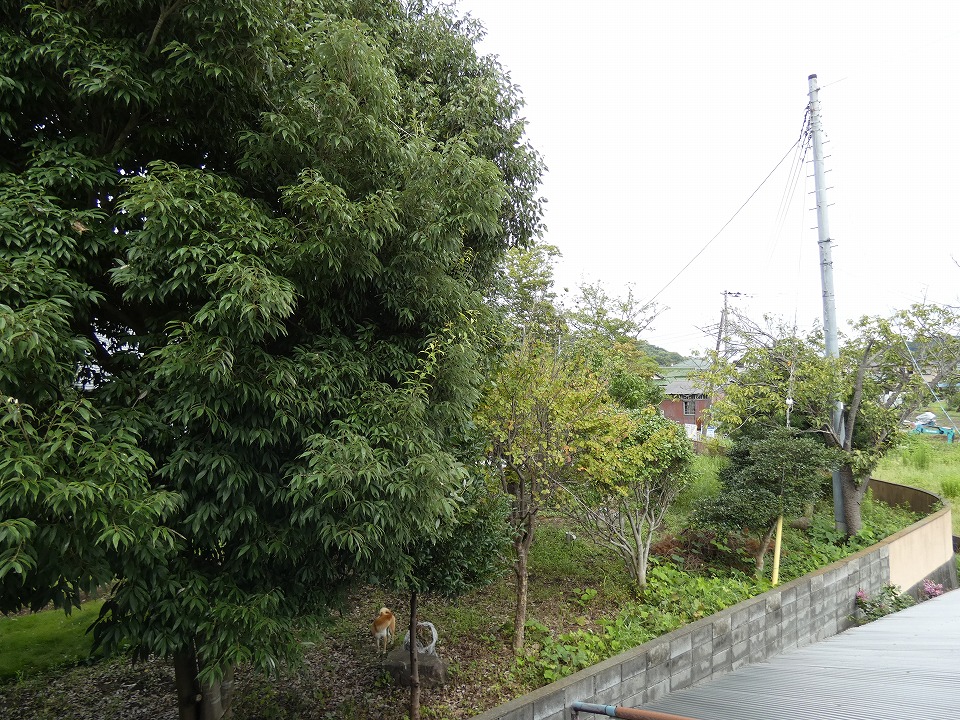 大磯町生沢借家